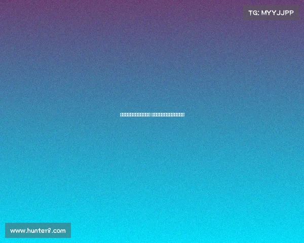 达拉斯独行侠的崛起与挑战 新时代篮球风云中的不懈追求